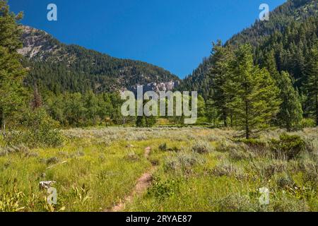 Big Elk Creek Trail über offene Wiesen, Snake River Range, Greater Yellowstone Rockies, Targhee National Forest, Idaho, USA Stockfoto