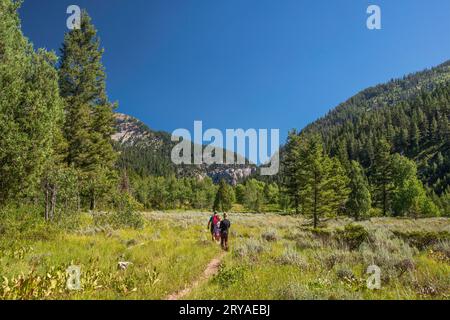 Eine Familie von Wanderern auf dem Big Elk Creek Trail, der offene Wiesen, die Snake River Range, die Greater Yellowstone Rockies, den Targhee National Forest, Idaho, USA Stockfoto