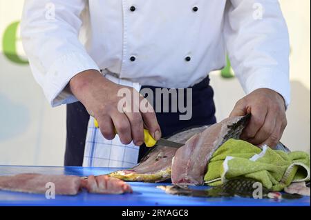 Wien, Österreich. September 28, 2023. Filetieren von Karpfen mit Reinhard Sprinzl Stockfoto