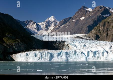 Margerie Glacier - Glacier Bay National Park and Preserve, in der Nähe von Juneau, Alaska, USA Stockfoto