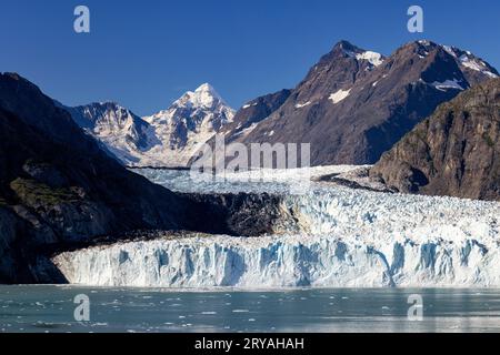 Margerie Glacier - Glacier Bay National Park and Preserve, in der Nähe von Juneau, Alaska, USA Stockfoto