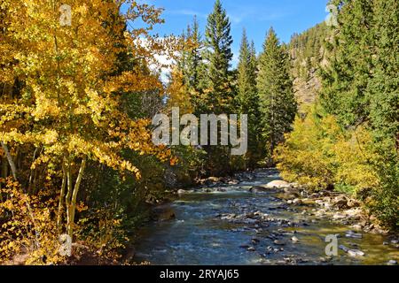 Am sonnigen Herbsttag entlang der genfer Straße in der Nähe des kenosha Passes in den colorado rockies können Sie sich auf dem Duck Creek mit wechselnden Espen- und Baumwollbäumen und Bergen abheben Stockfoto