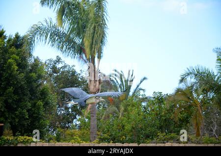 Marabu african im Jungle Park, Teneriffa Stockfoto