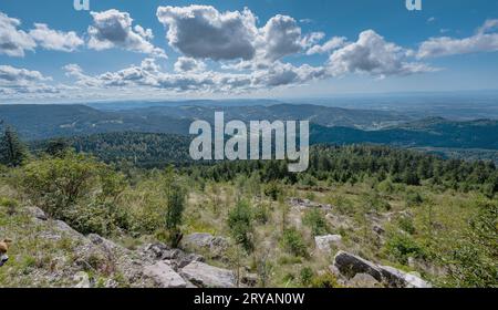 Blick vom Hornisgrinde über das Hochmoor im Rheintal auf die Stadt Achern. Baden Württemberg, Deutschland, Europa Stockfoto