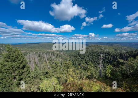 Blick von Hornisgrinde über den nördlichen Schwarzwald. Baden-Württemberg, Deutschland, Europa Stockfoto