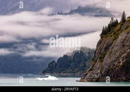 Dramatische Nebellandschaft im Tracy Arm Fjord in der Nähe von Juneau, Alaska, USA Stockfoto