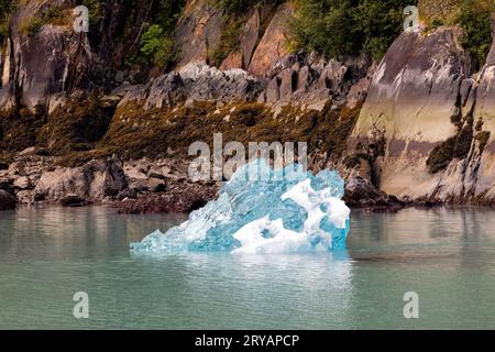 Eisberg vom Sawyer-Gletscher im Tracy Arm Fjord bei Juneau, Alaska, USA Stockfoto