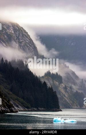 Dramatische Nebellandschaft im Tracy Arm Fjord in der Nähe von Juneau, Alaska, USA Stockfoto