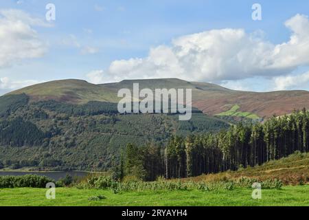 Blick auf Waun Rydd von Bwlch y Waun in den Central Brecon Beacons mit Talybont Reservoir und einem Teil der Forstwirtschaft, alles im September gezeigt Stockfoto