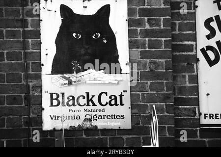 Ein schwarz-weißes Foto eines Vintage-Metallschildes, das Black Cat Virginia Zigaretten anwarnt. Der Werbespot ist hoch an einer Ziegelwand befestigt. Stockfoto