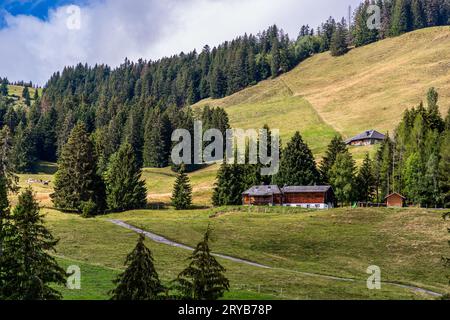 Zwei Holzhütten an der Lokalität A la Bliantsârda befinden sich unter einer sonnenbeschienenen Alpweide entlang des Sentier des Fromageries nahe Gruyères, Kanton Freiburg, Schweiz, mit einem Chalet im Hintergrund. Der Weg führt an 20 Alpkäse-Käsereien vorbei. Stockfoto