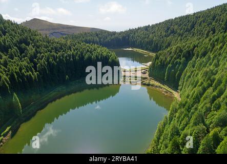 Blick aus der Vogelperspektive auf den See von Empadadas (Lagoa das Empadadas), umgeben von Kryptomeriebäumen. Sete Cidades Sao Miguel Insel auf den Azoren. Stockfoto