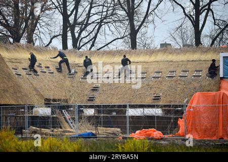 Reetdachdecker, die ein Dach eines im Bau befindlichen Hauses mit Reetdach abdecken Stockfoto