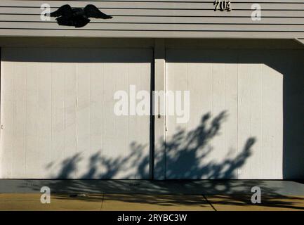 Schatten auf dem Garagentor Stockfoto