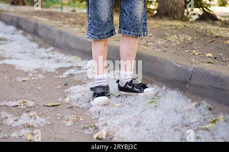 Kinderfüße in Turnschuhen auf dem mit Pappelfusspelz bedeckten Pflaster. Pappelblütensaison, sonniger Tag im Park. Brandgefahr Stockfoto