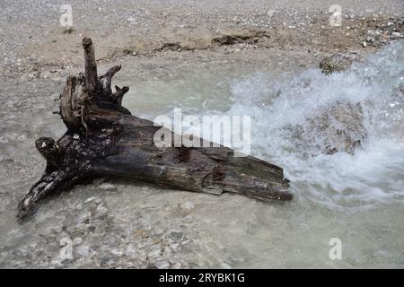 Am Abfluss des Landro-Sees wartet ein von der Strömung getragener Baumstamm auf sein Ende Stockfoto