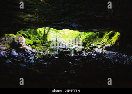 Porth Yr Ogof Cave am Mellte River, Brecon Beacons National Park, Wales, Vereinigtes Königreich Stockfoto