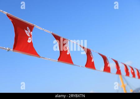 Chinesische und hongkonger Flagge anlässlich des 74. Jahrestages des Nationalfeiertags der Volksrepublik China auf dem Markt von Sheung Wan, Hongkong Stockfoto