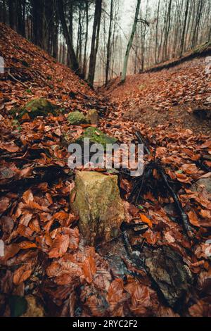 Wunderschöner Bach (Bach) mit Steinen und orangefarbenen Blättern im Vordergrund in dunklem und stimmungsvollem Wald - Herbstzeit. Kleiner Fluss im tiefen Wald, der durch den Throu fließt Stockfoto