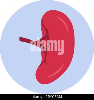 Die erweiterte Milzsplenomegalie, isoliertes medizinisches Symbol Stock Vektor