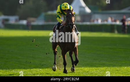 Paris, Frankreich, 30. September 2023; Horizon Dore und Mickael Barzalona gewinnen den Qatar Prix Dollar der Gruppe II für Trainer P.Cottier und Besitzer Gousserie Racing, EC. Gribomont und M. Delaunay... Credit JTW Equine Images / Alamy Live News Stockfoto