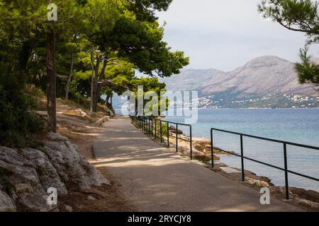 Promeanade rund um Cavtat in Kroatien Stockfoto