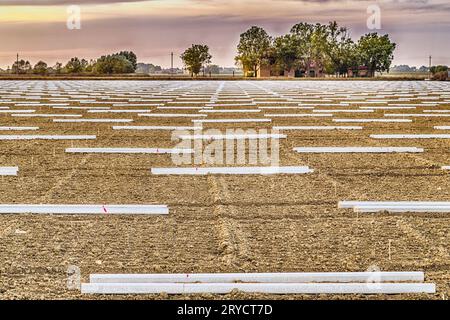 Geometrische Gestaltung von Stützpfählen auf Ackerland Stockfoto