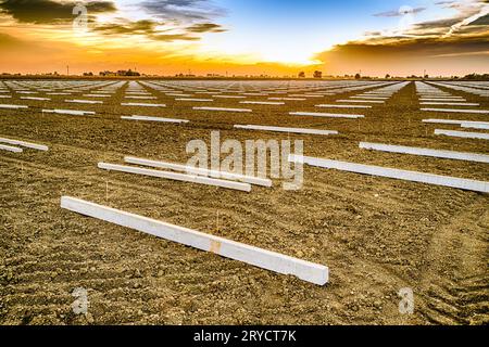 Geometrische Gestaltung von Stützpfählen auf Ackerland Stockfoto