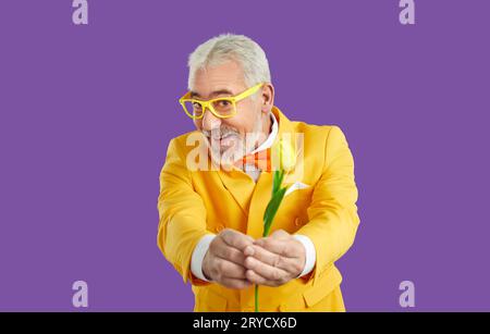 Lustiger älterer grauhaariger Mann in gelbem Anzug hält Tulpe vor die Kamera und schenkt Ihrer Blume im Studio Stockfoto