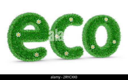 ECO mit Gras und Blumen Stockfoto