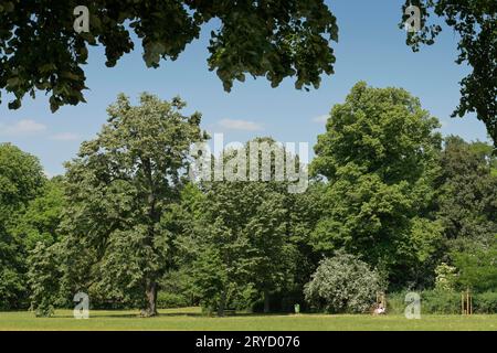 Clara-Zetkin-Park, Leipzig, Sachsen, Deutschland Stockfoto