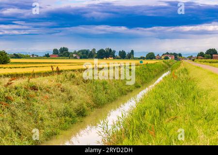 Bewässerungskanal entlang der Felder auf dem Land Stockfoto