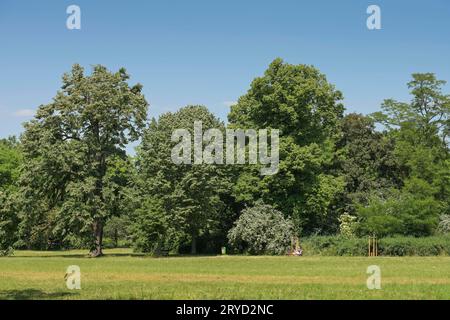 Clara-Zetkin-Park, Leipzig, Sachsen, Deutschland *** Clara Zetkin Park, Leipzig, Sachsen, Deutschland Credit: Imago/Alamy Live News Stockfoto