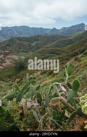 Wanderausflug in die Anaga Berge in der Nähe von Taborno auf Teneriffa Insel Stockfoto