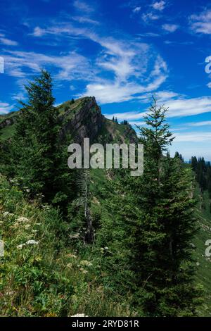 Wandern auf der Nagelfluhkette in den deutschen alpen Stockfoto