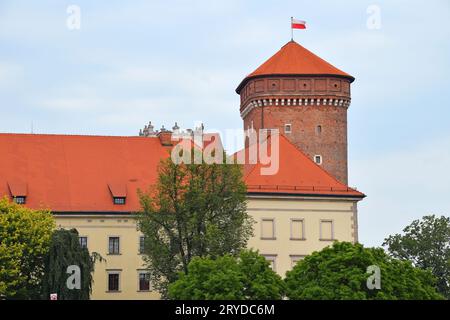 Königsschloss Wawel in Krakau, Polen Stockfoto