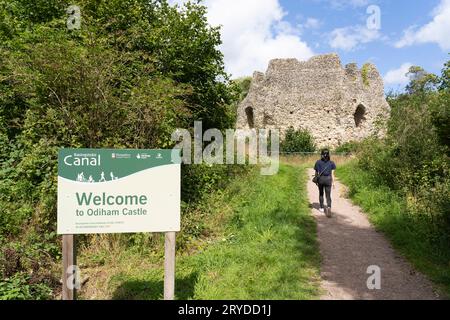 Ein Besucher der Ruine von Odiham Castle, auch bekannt als King John's Castle, und ein Begrüßungsschild am Basingstoke Canal. North Warnborough, Hampshire, Großbritannien Stockfoto