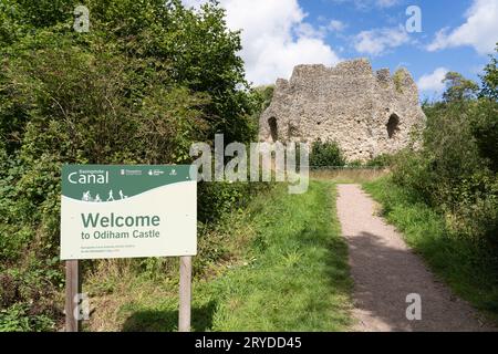 Die verbliebene Ruine des Feuersteins des achteckigen Donjons von Odiham Castle, auch bekannt als King John’s Castle, neben dem Basingstoke Canal. Hampshire, Großbritannien Stockfoto