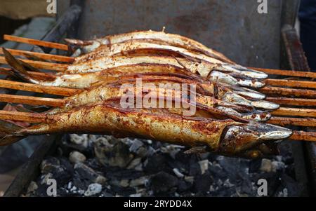 Kochen von Bonito Makrelen Fisch auf dem Grill Stockfoto