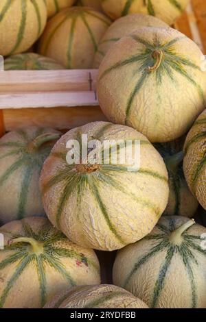 Nahaufnahme frischer Melonen in der Einzelhandelsausstellung Stockfoto