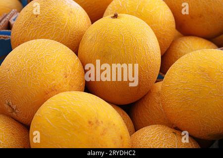 Nahaufnahme frischer Melonen in der Einzelhandelsausstellung Stockfoto