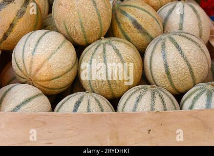 Nahaufnahme frischer Melonen in der Einzelhandelsausstellung Stockfoto