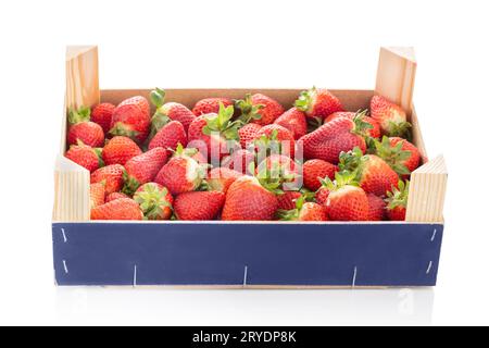 Frische Erdbeeren in Kiste isoliert auf weißem Hintergrund Stockfoto