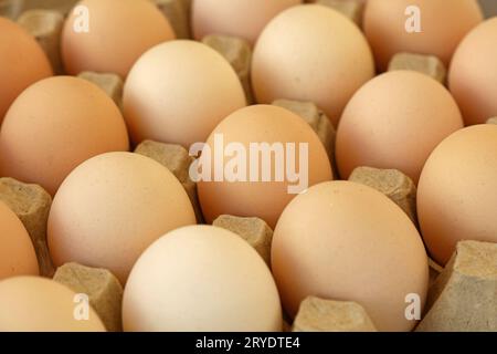 Braune Hühnereier in einem Karton verschließen Stockfoto