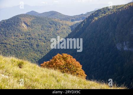Sonniges Tal im Nationalpark Abruzzen im Herbst Stockfoto