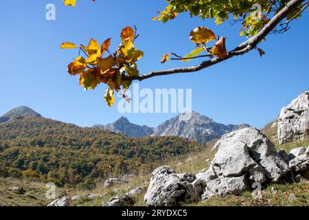 Sonniges Tal im Nationalpark Abruzzen im Herbst Stockfoto