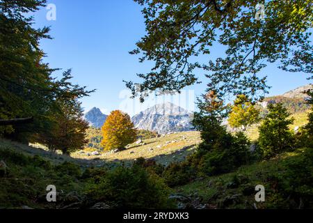 Sonniges Tal im Nationalpark Abruzzen im Herbst Stockfoto