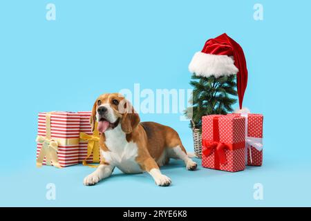 Niedlicher Beagle-Hund mit Geschenken und Weihnachtsbaum auf blauem Hintergrund Stockfoto
