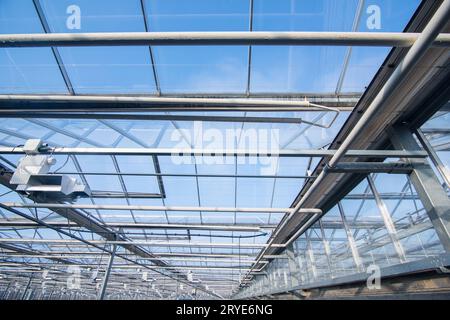 Das Dach im Gewächshaus Stockfoto