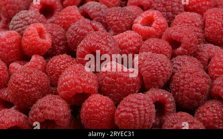 Hintergrund frischer roter reifer Himbeeren Stockfoto
